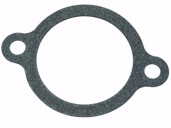8M0079167 Gasket, Thermostat Cover