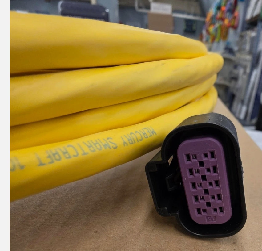 879969T30 Harness Assembly