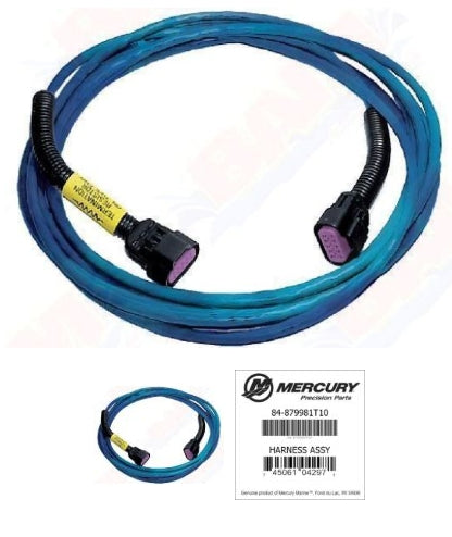 879981T10 Harness Assembly, CAN Data, 10 Pin, 10 Ft., Blue
