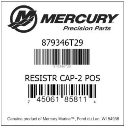 879346T29 RESISTR CAP-2 POS
