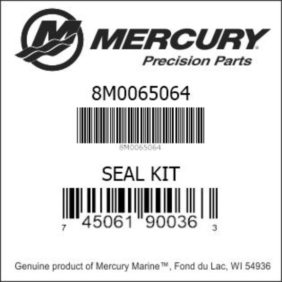 8M0065072 Water Pump Kit