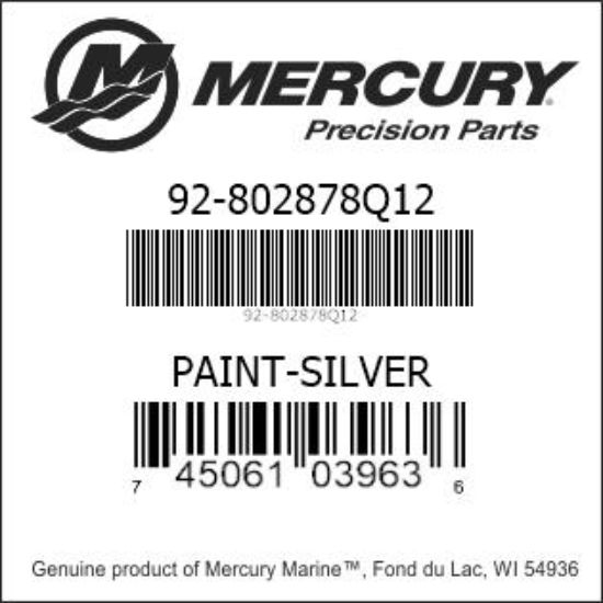 802878Q12 Spray Paint, Mariner Silver, 12 Oz.