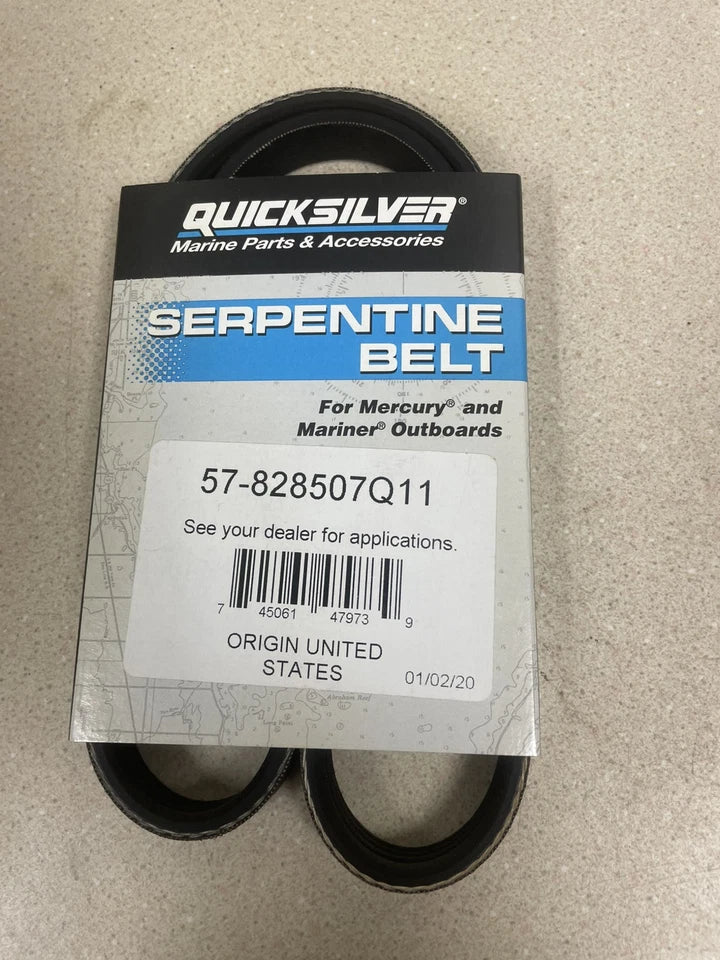 828507Q11 Belt, Serpentine