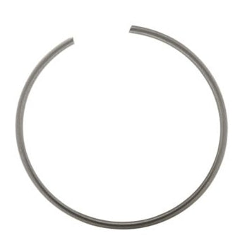 880719 Ring, Retaining