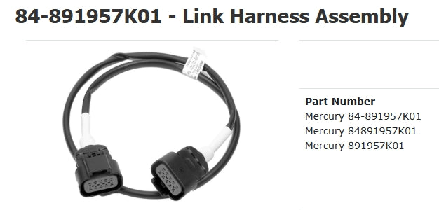 891957K01 CAN Link Harness Assembly