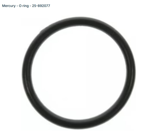 892077 O-Ring